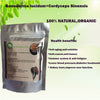 Ganoderma Reishi Mushroom Powder