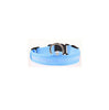 Nylon Pet LED Dog Collar