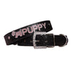 PU Leather Bling Personalized Dog Collar